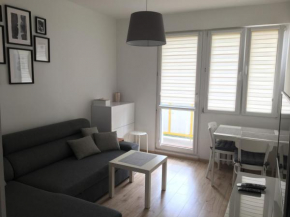 Apartament Przy Skarpie, Torun